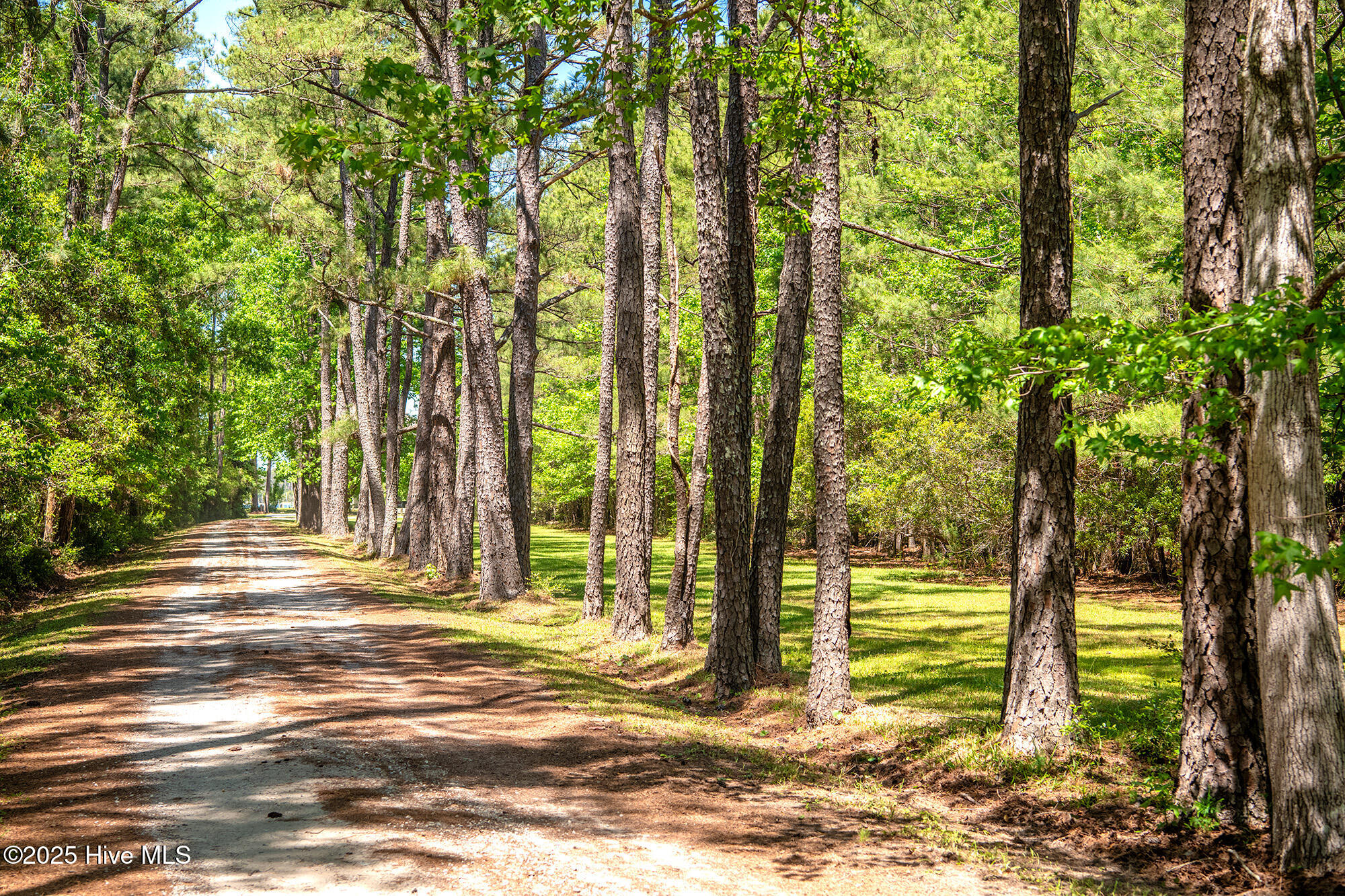 259 Creek Road