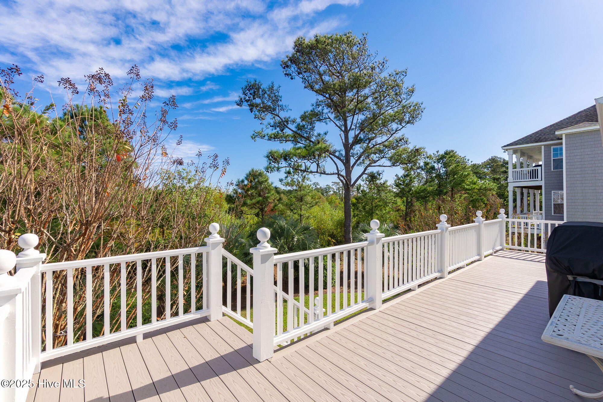 119 Pintail Lane