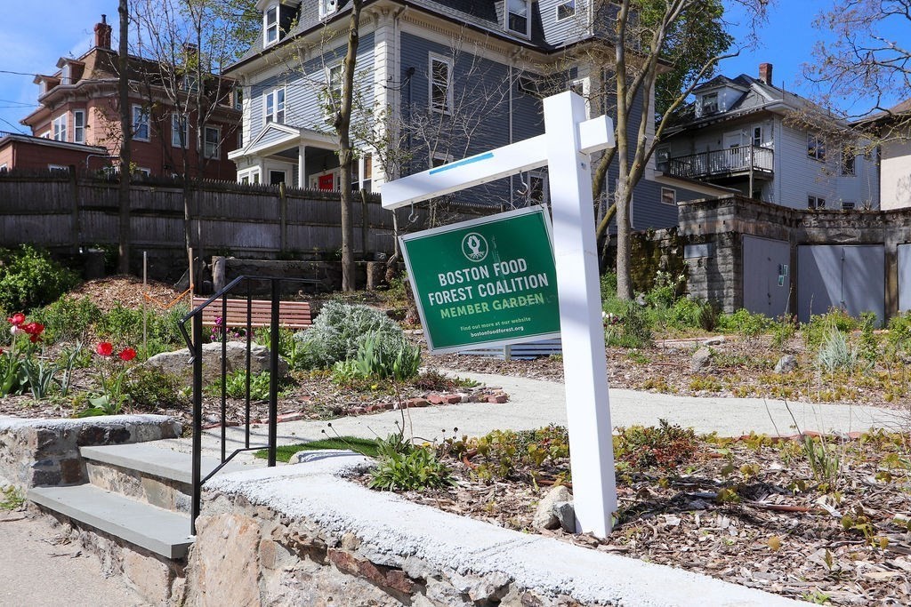 11 Everett Ave # 3