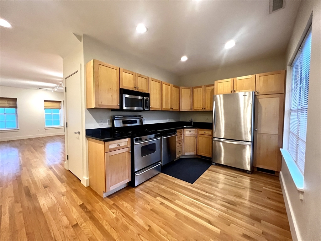155 Brookline Street # 15