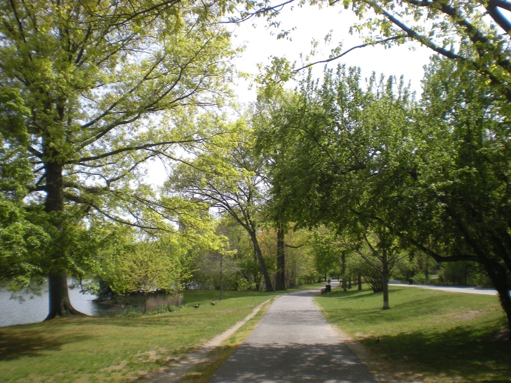 33 Pond Ave. # 912