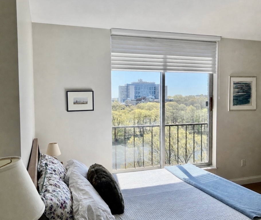 33 Pond Ave # 1213