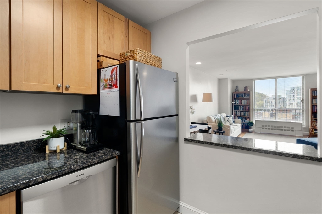 33 Pond Ave # 1213