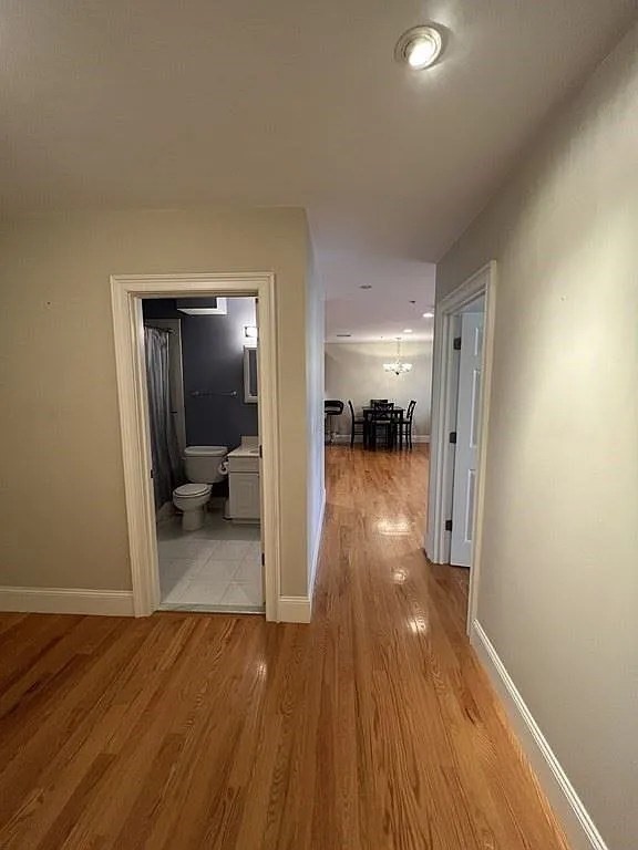 87 Franklin # 203