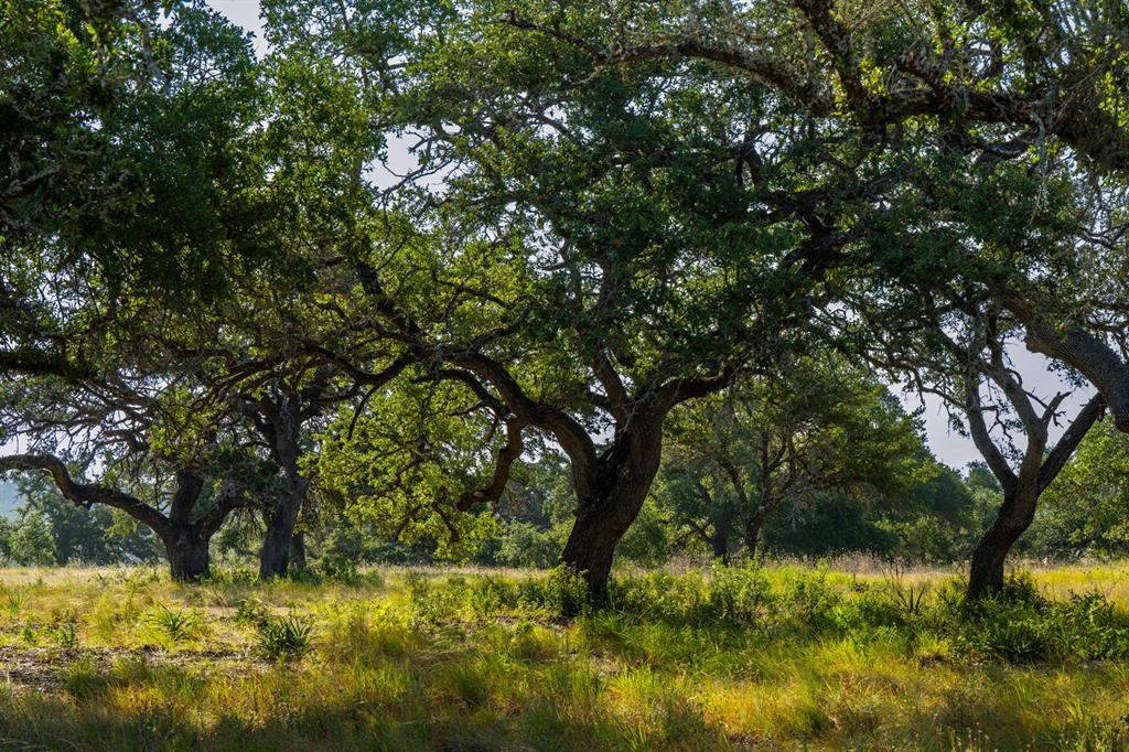 Lot 10 Tuscany DR