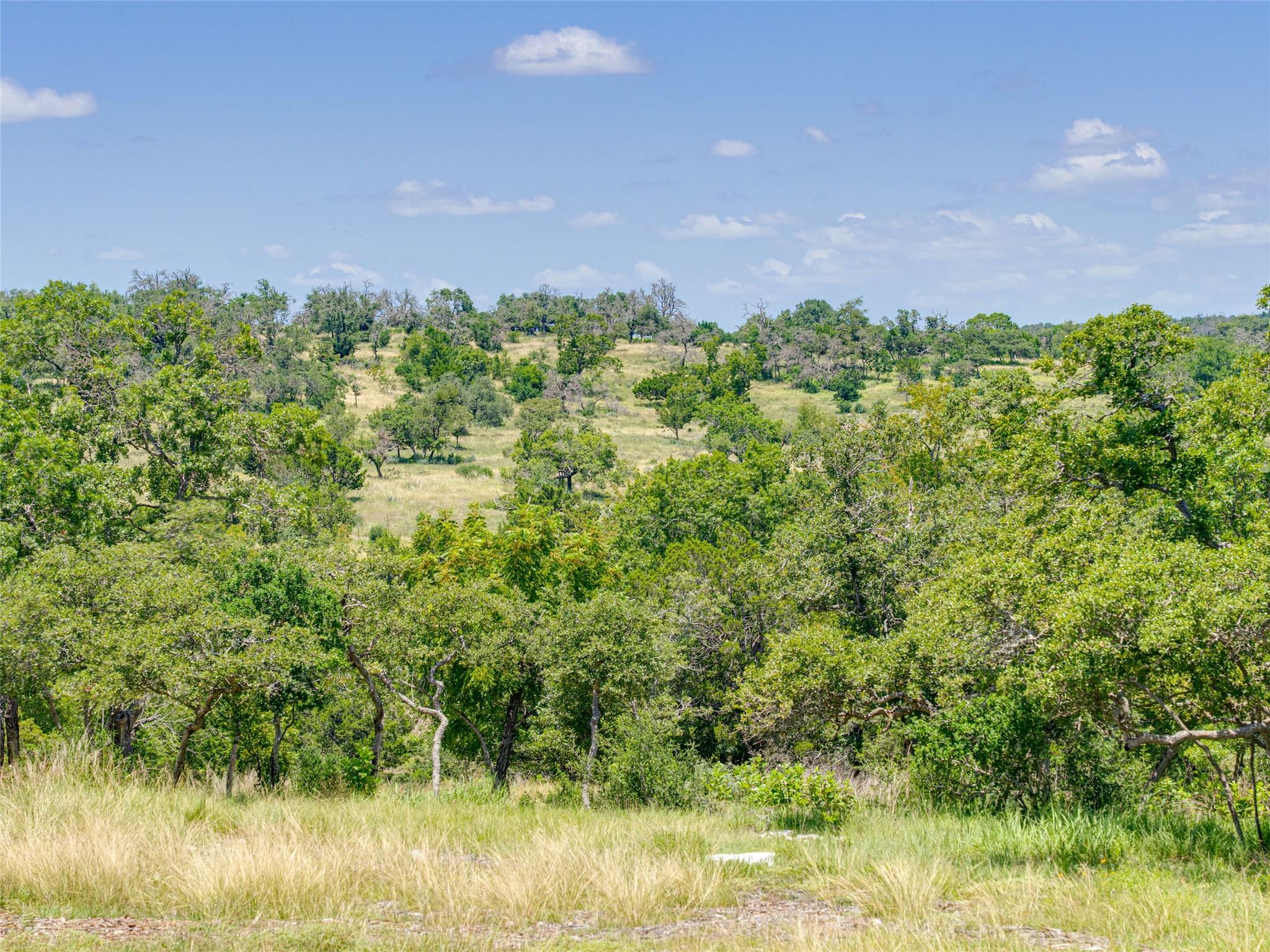 19 N Cielo Vista CT