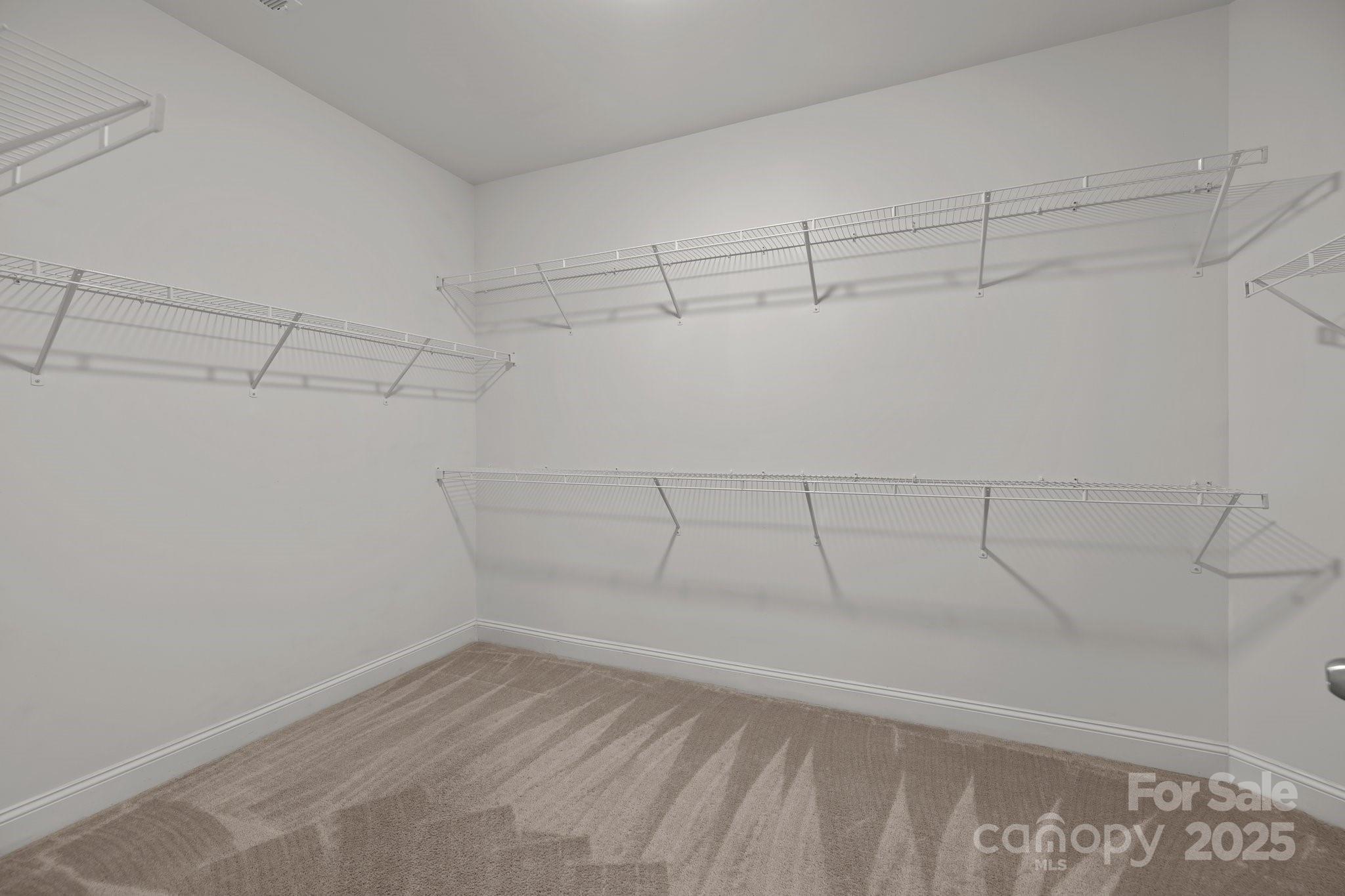 11227 Whimbrel Court