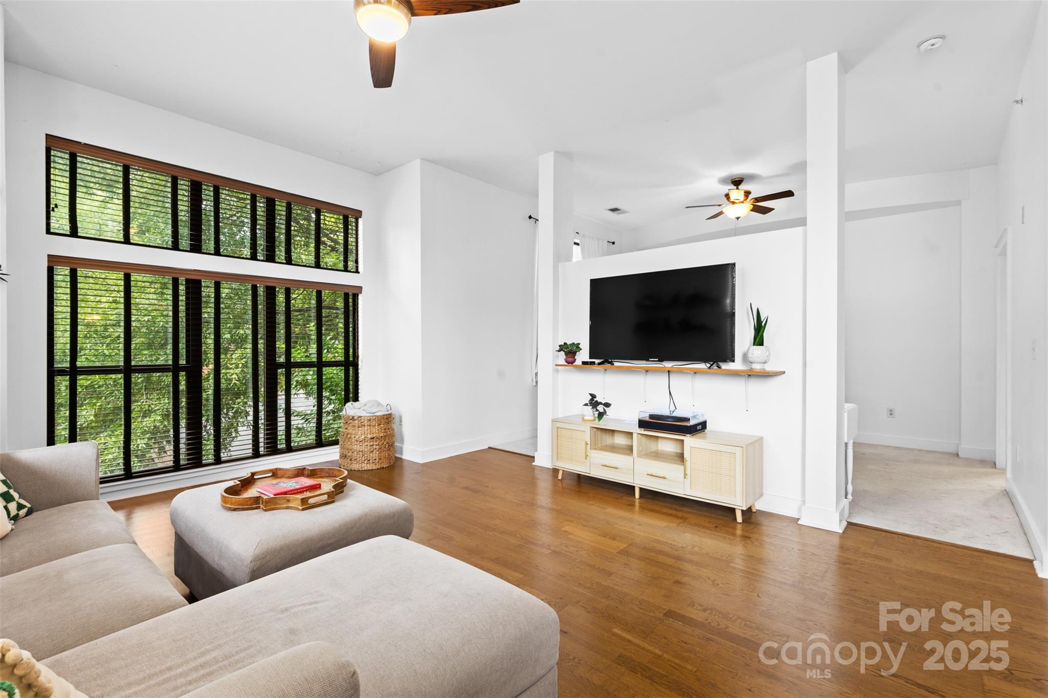 704 N Davidson Street