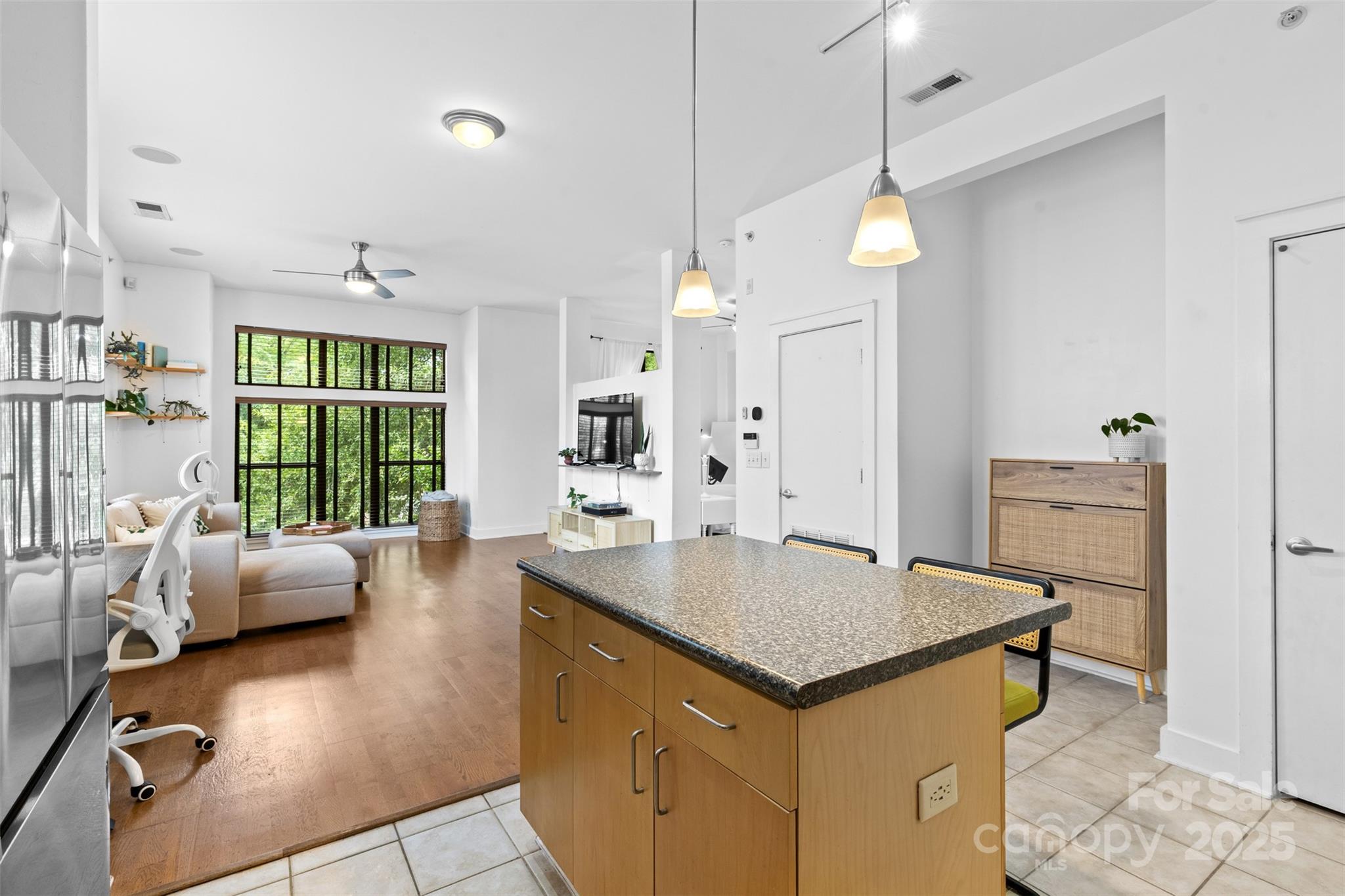 704 N Davidson Street