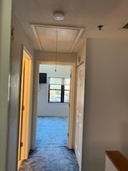 33 Maplewood Ave # 20