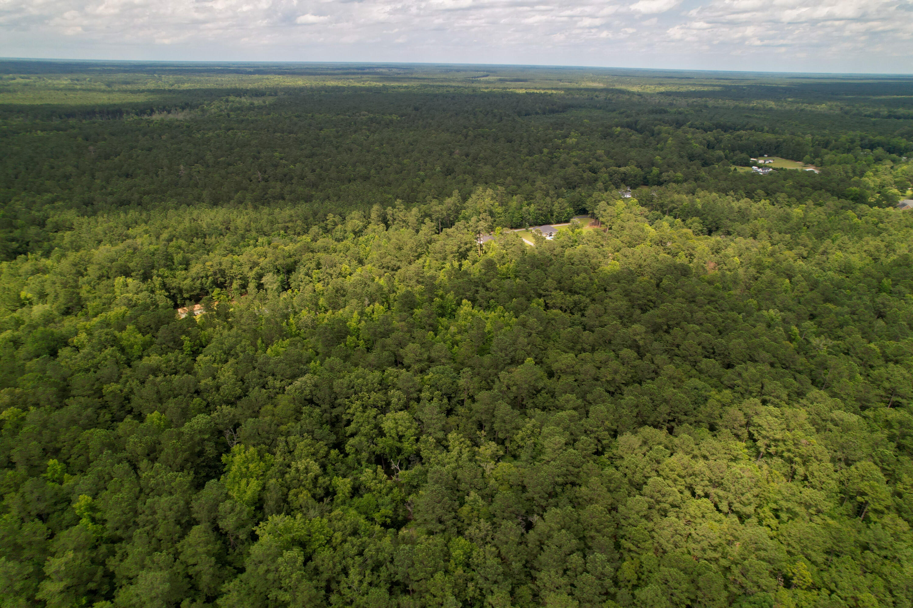 1161 Spring Grove Road