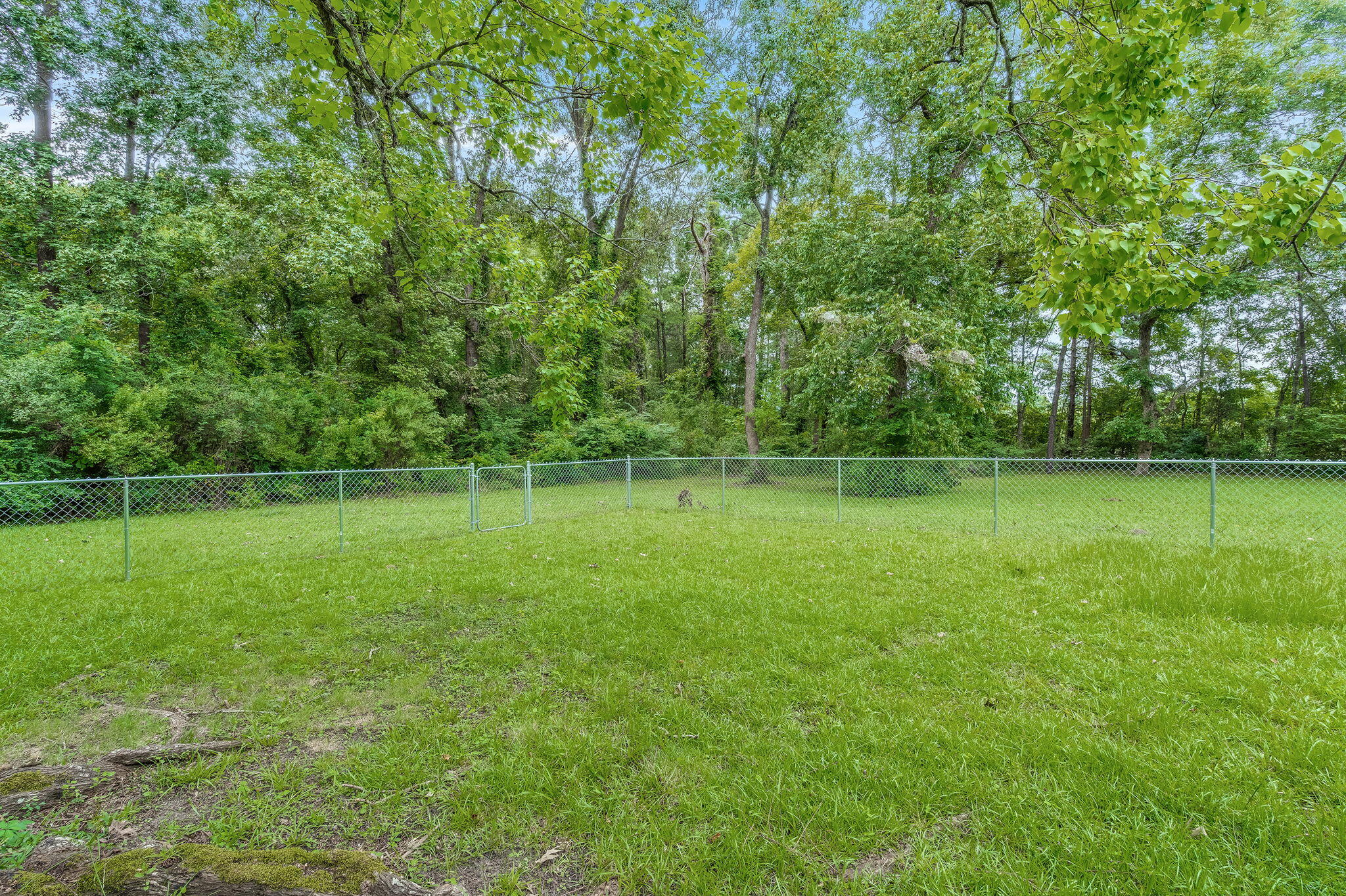 8823 Antler Drive