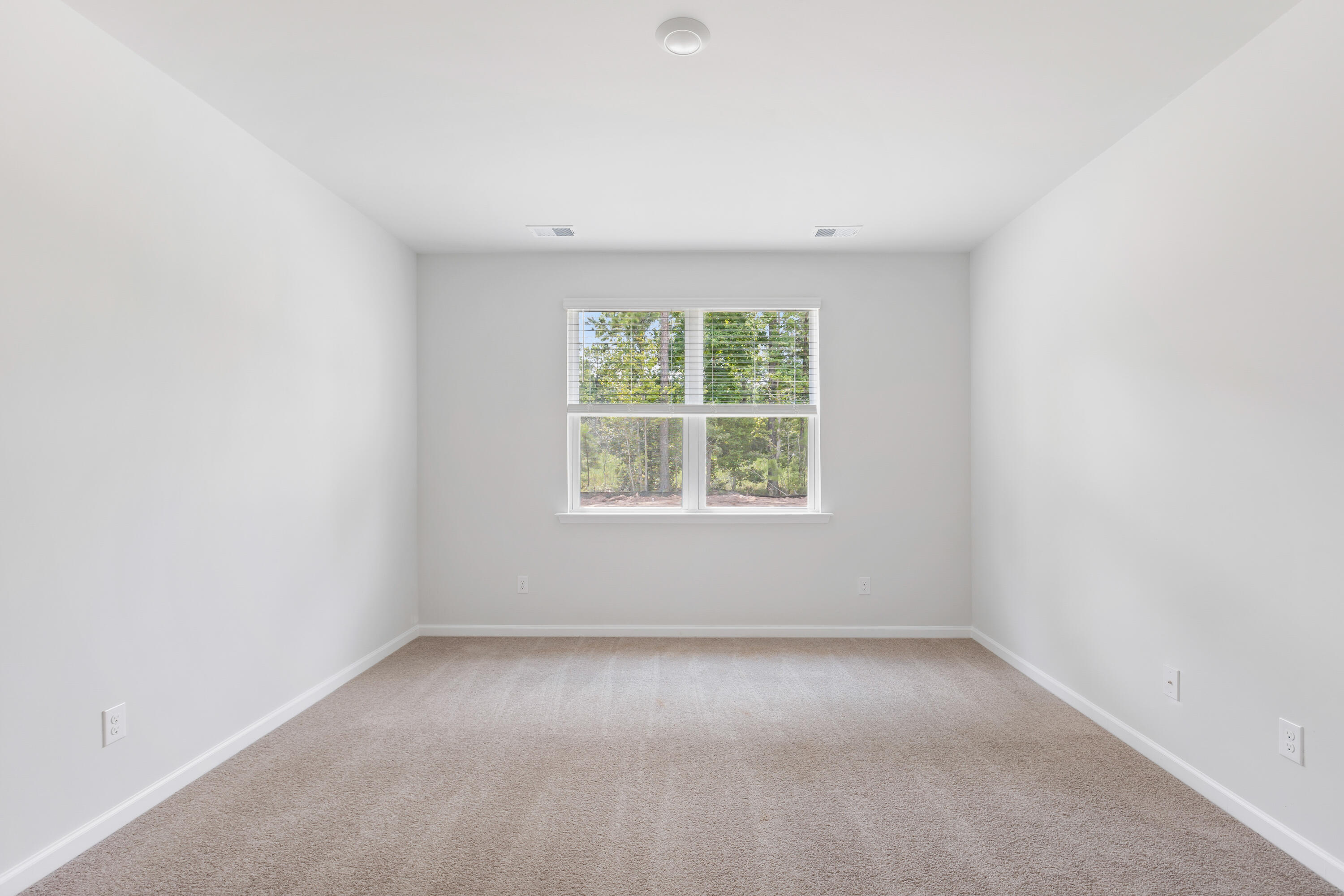 146 Ivory Shadow Road