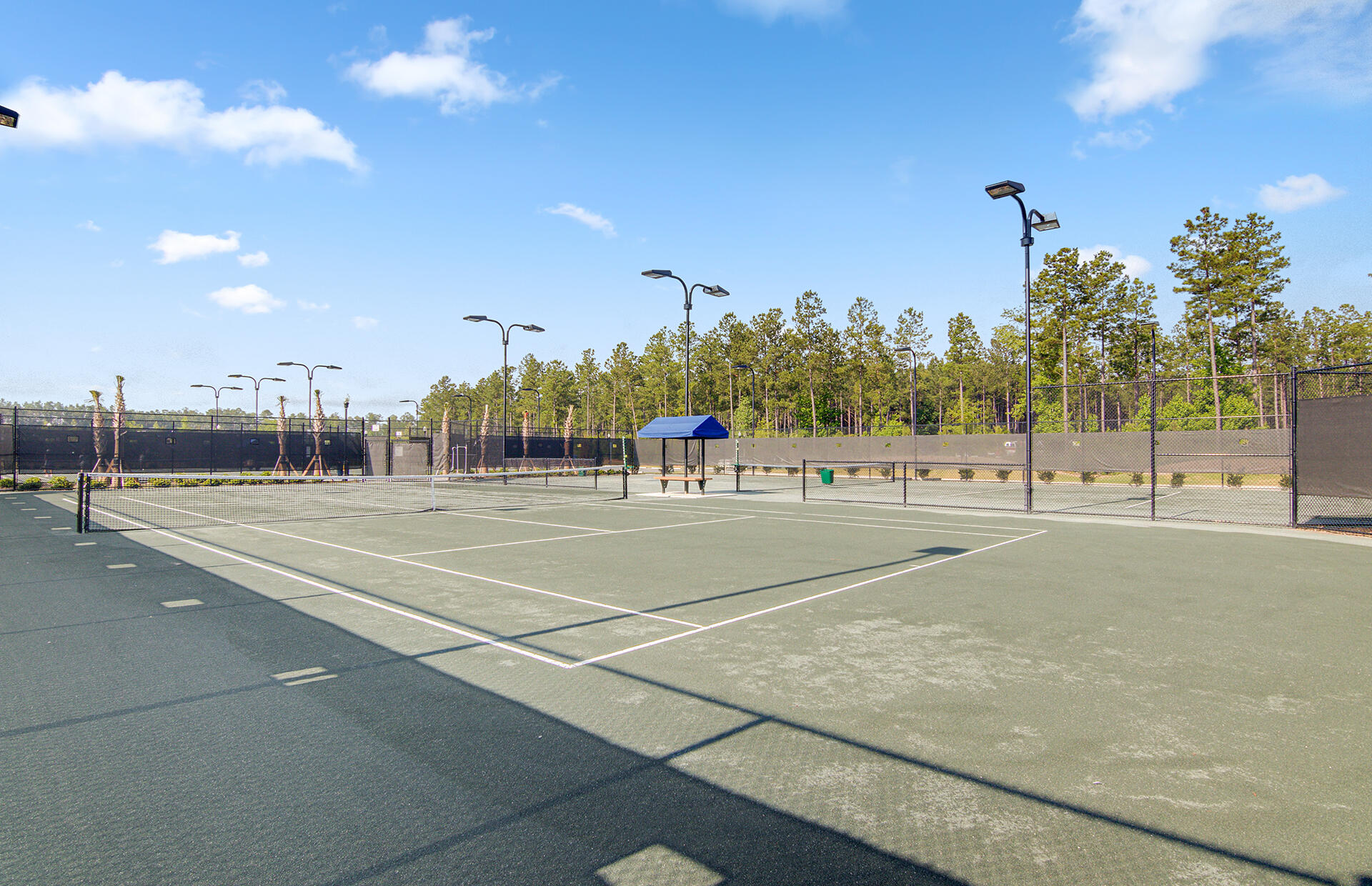 383 Tupelo Lake Drive