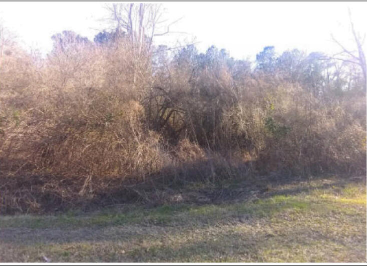408 Spelltown Road
