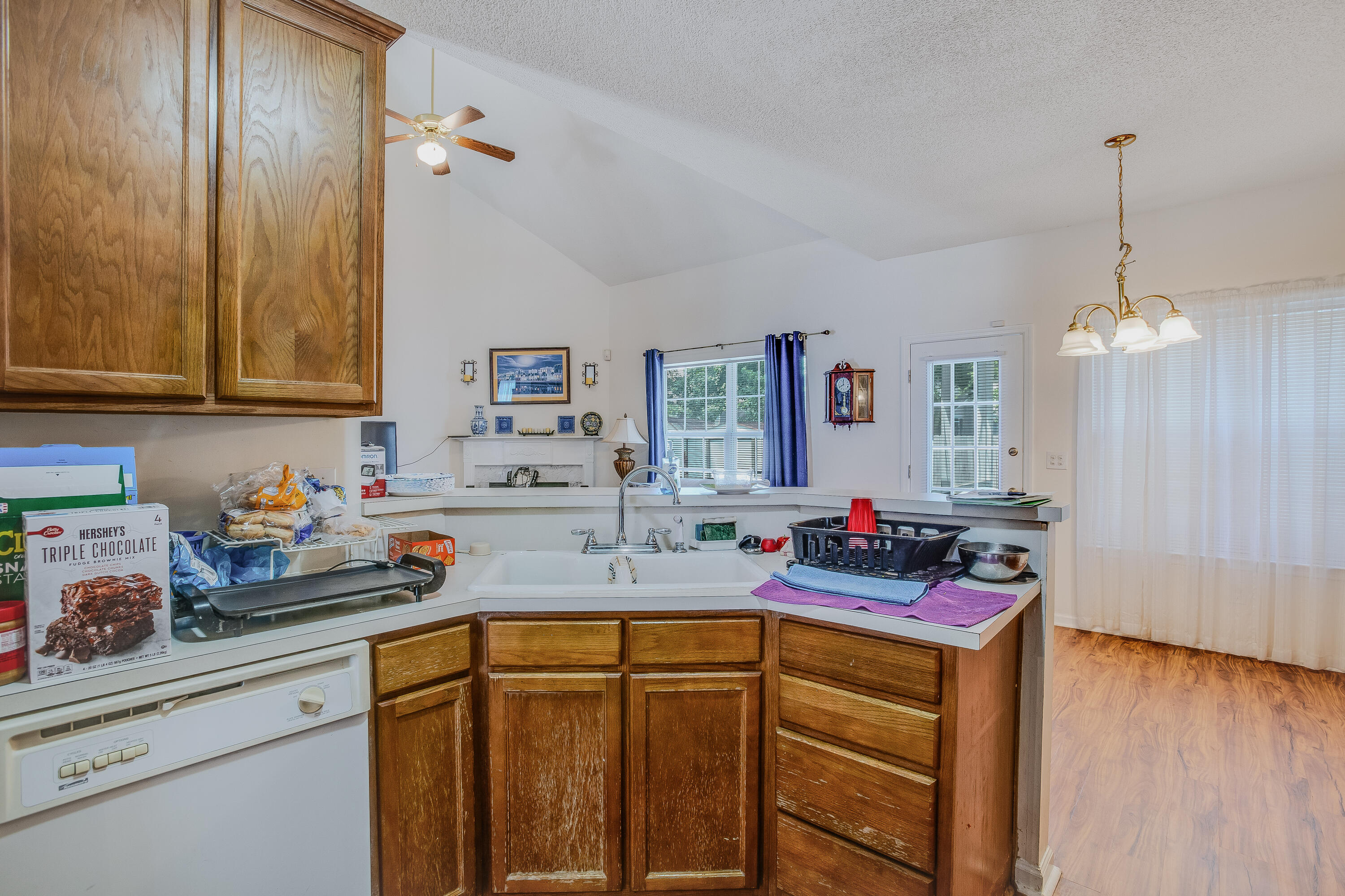 1406 Blue Pine Drive