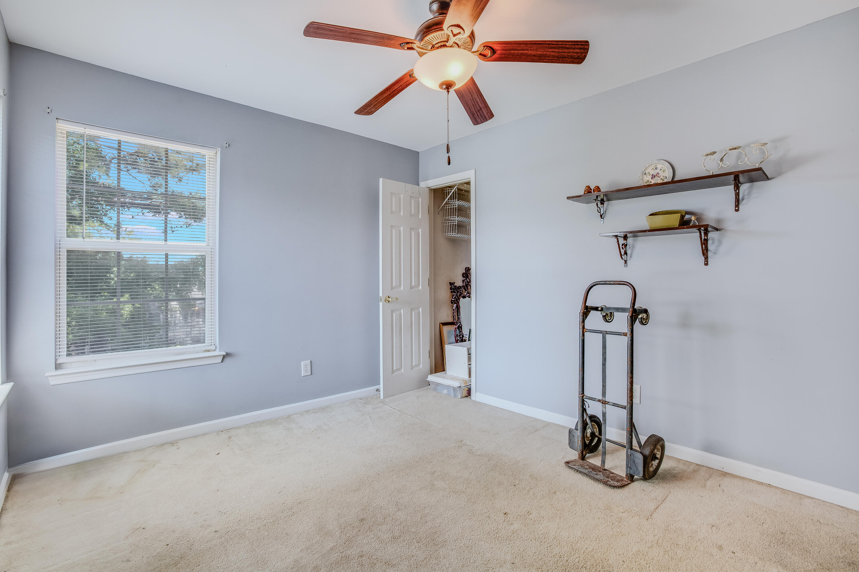 1406 Blue Pine Drive