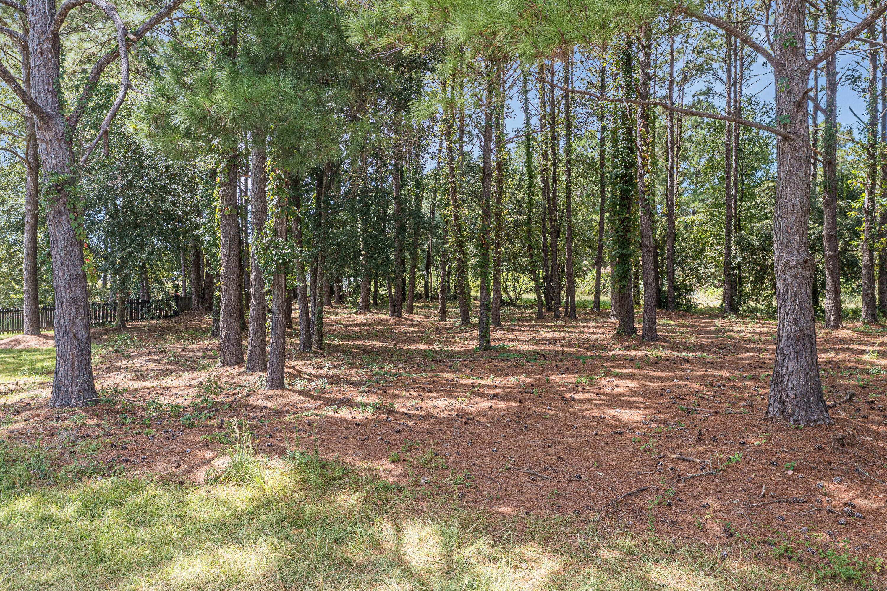 102 Whooping Crane Court