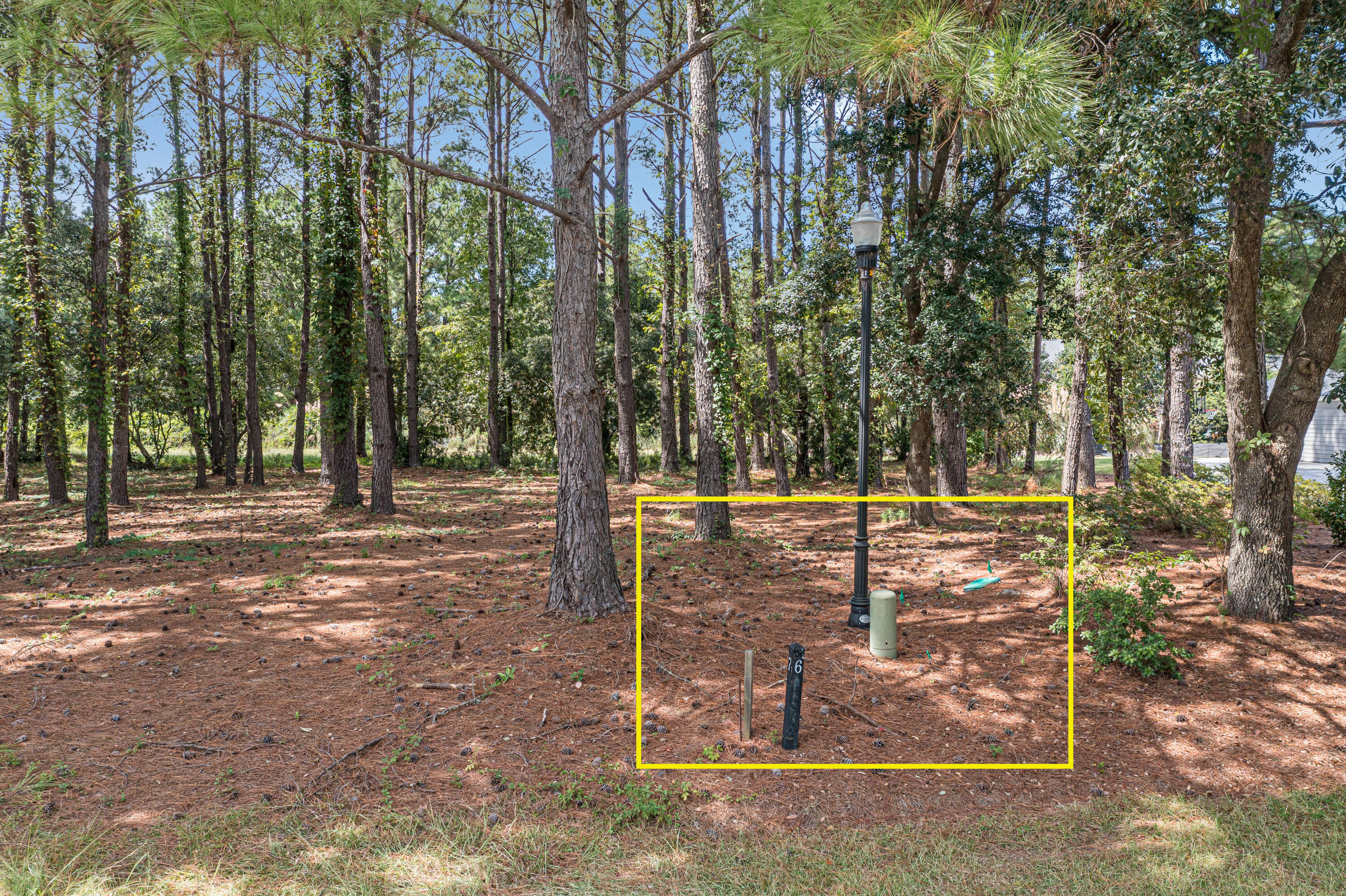 102 Whooping Crane Court
