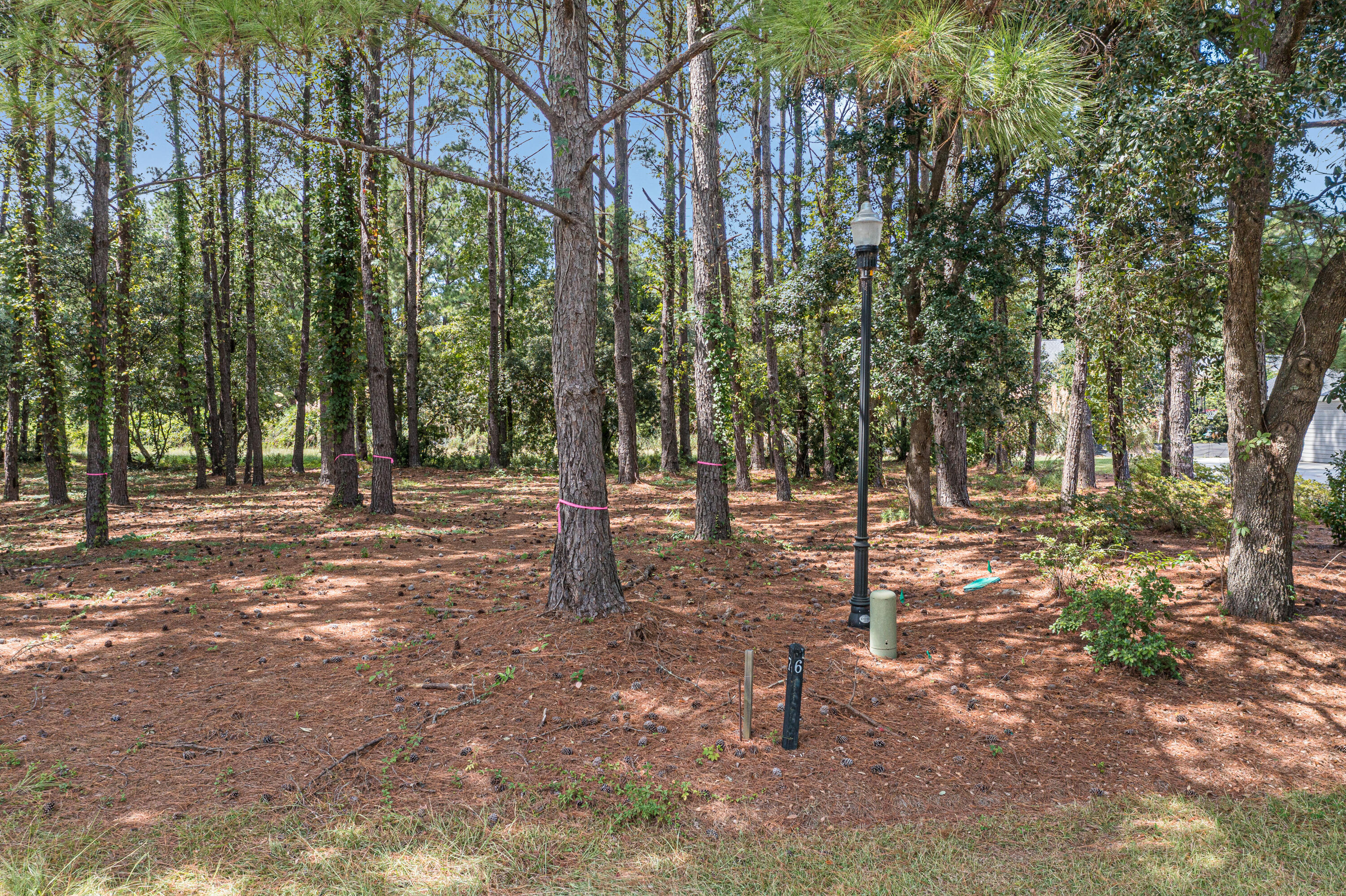 102 Whooping Crane Court