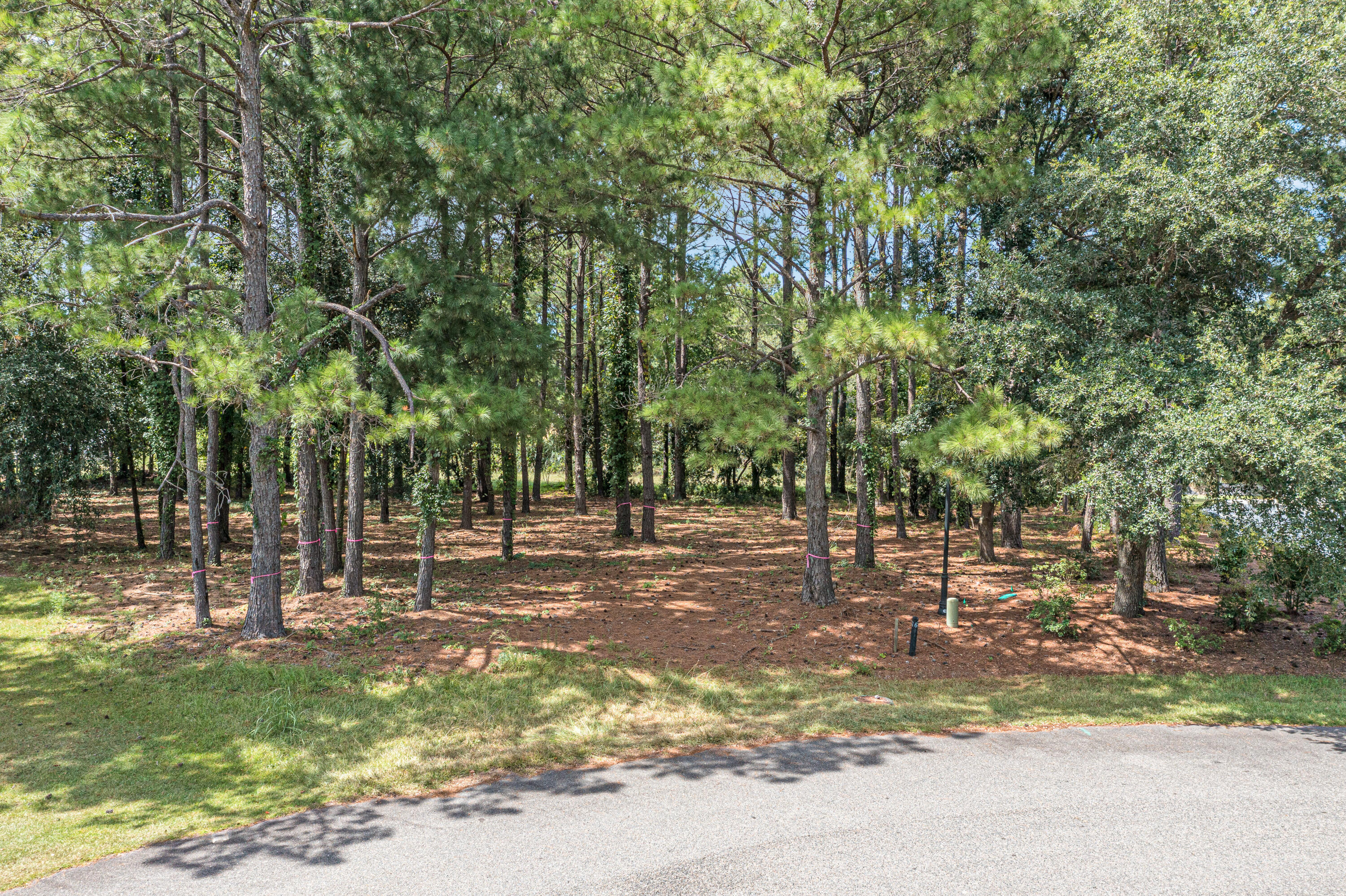 102 Whooping Crane Court