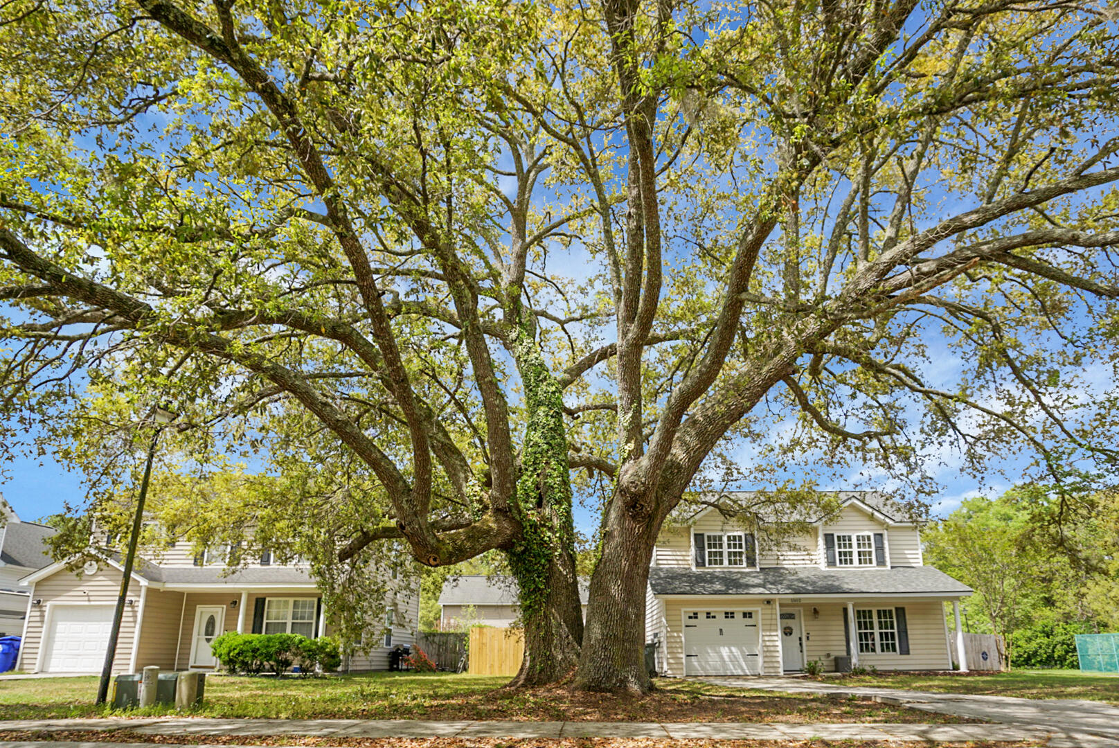 1502 Thoroughbred Boulevard