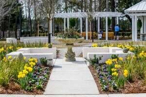 157 Threaded Fern Street