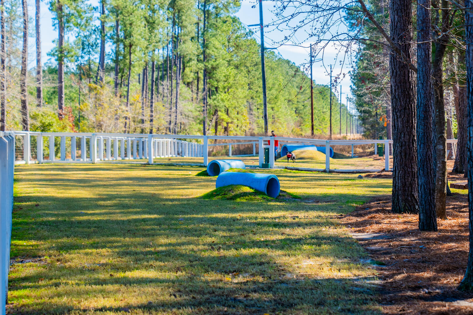 205 Somerset Acres Drive