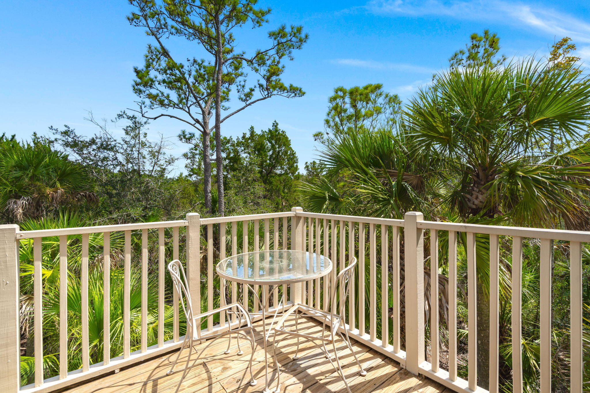 164 Palm Cove Way