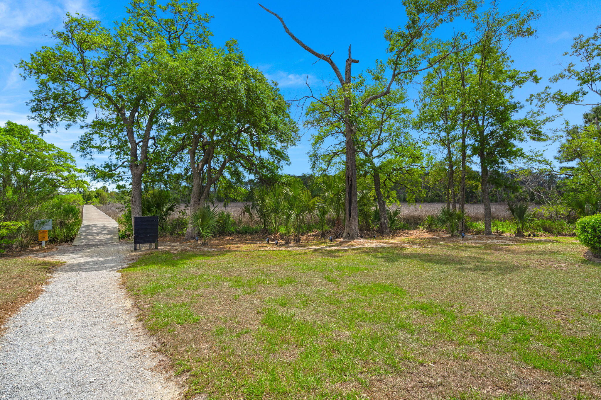 808 Forrest Drive