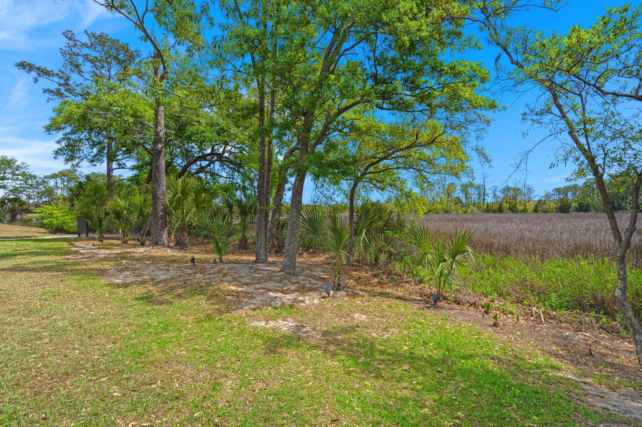 808 Forrest Drive