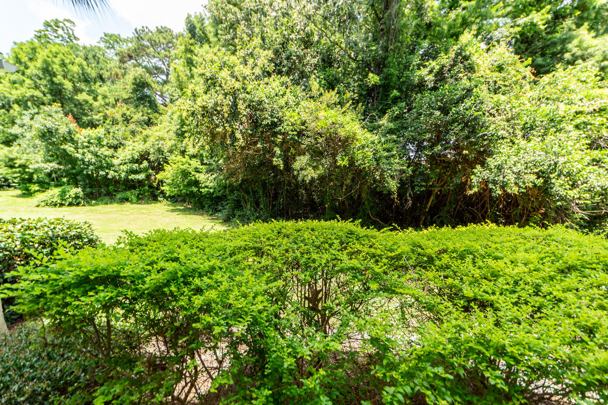 45 Sycamore Avenue Apt 1414
