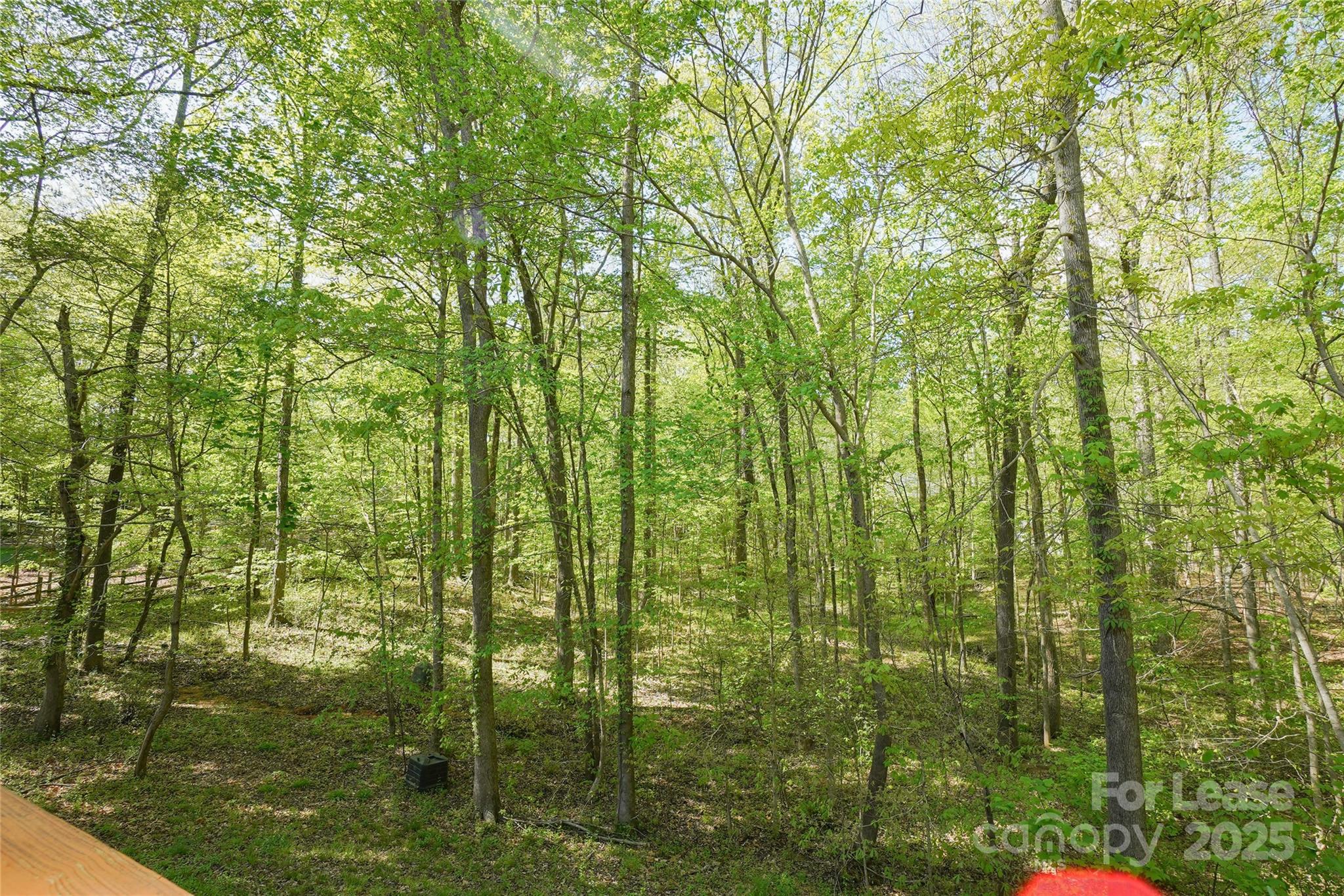 3552 Weddington Oaks Drive