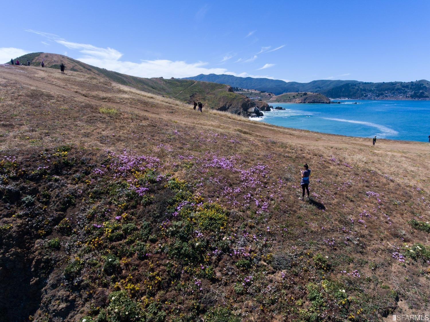 262 Beaumont Boulevard