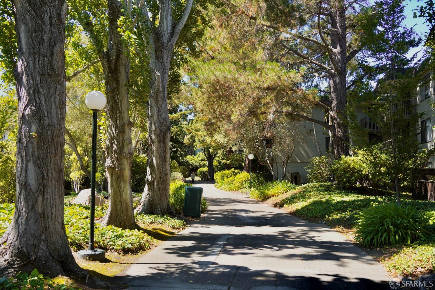 6102 Shelter Creek Lane