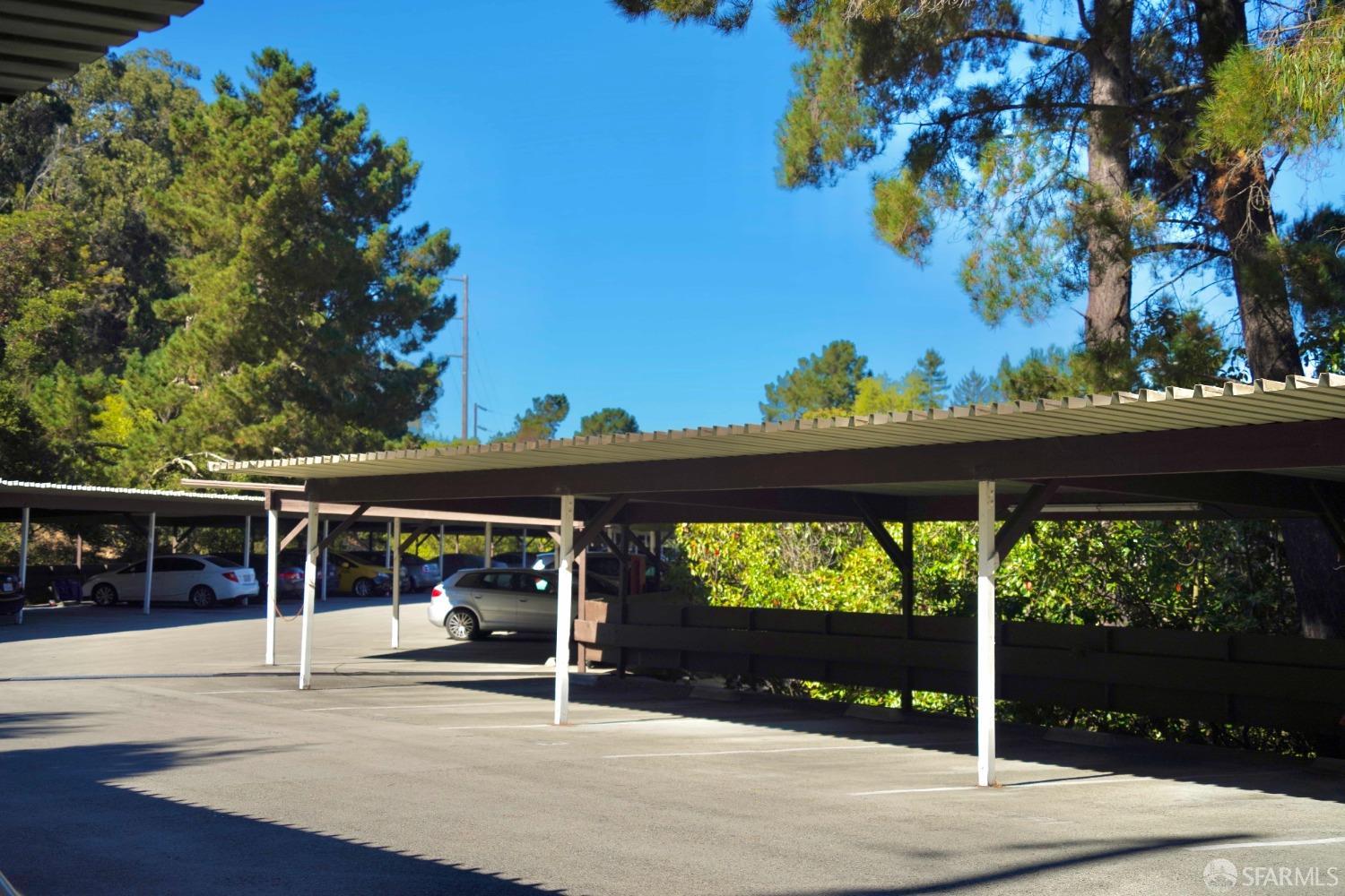 6102 Shelter Creek Lane