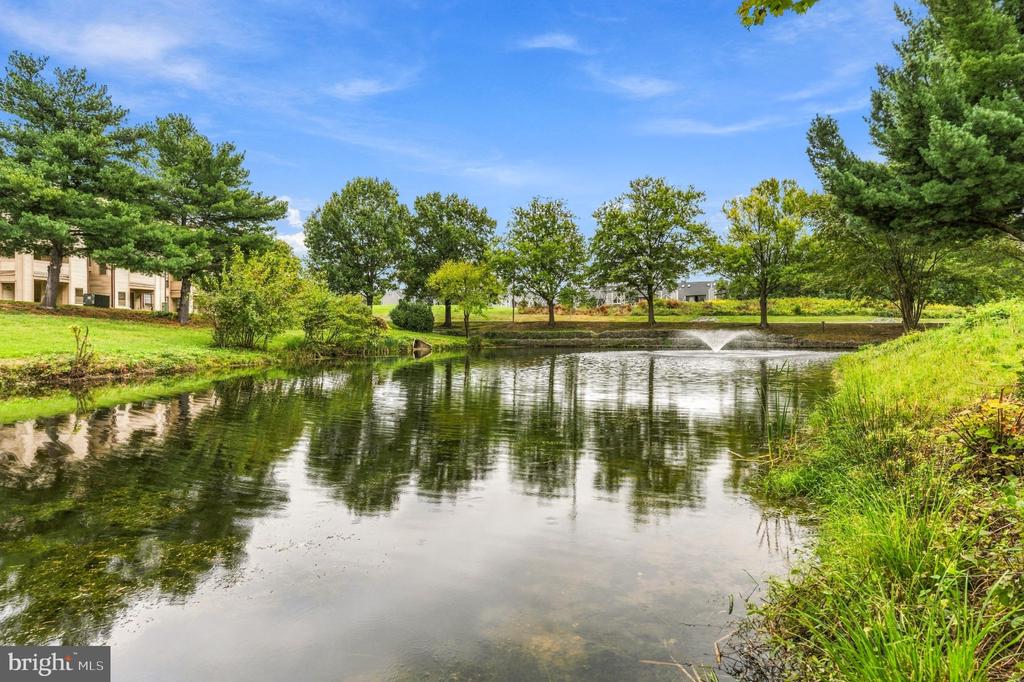 Landscaped pond with a fountain, grassy banks, and mature trees beside residential buildings.