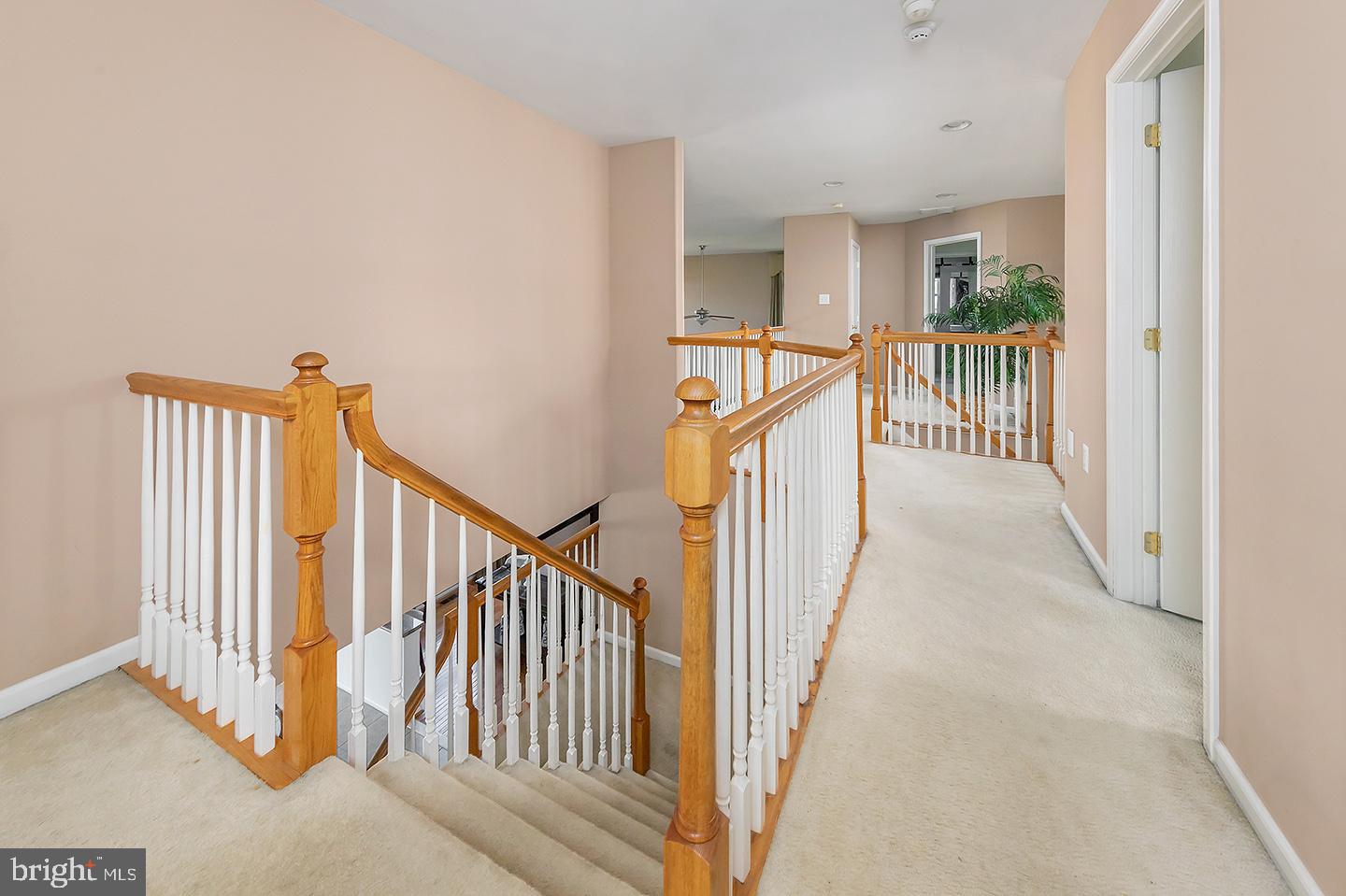 4 MORNING GLORY CIRCLE