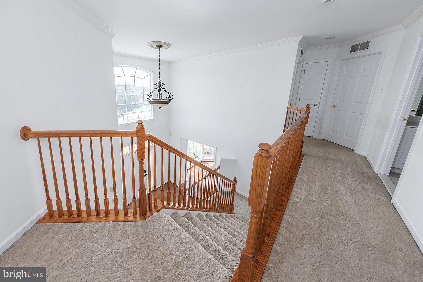 207 DILLONS LANE