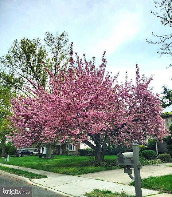 928 DONCASTER DRIVE