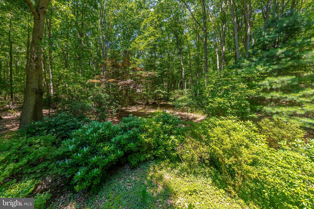 109 Foxford Ln