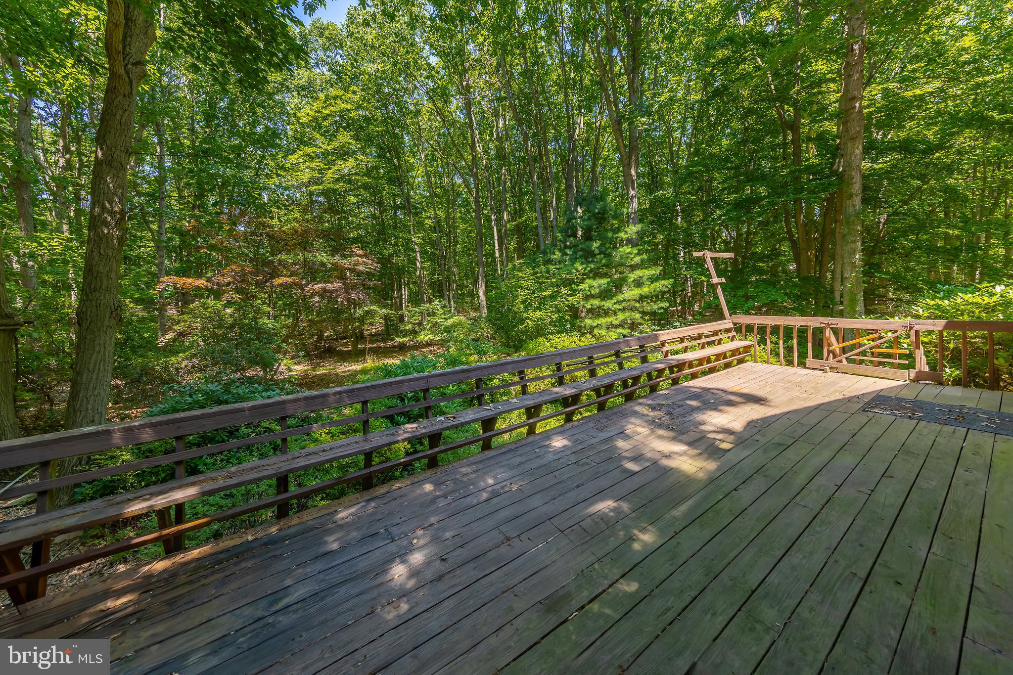 109 Foxford Ln