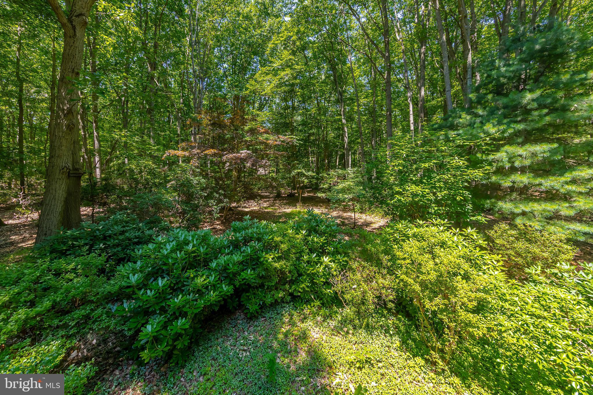 109 Foxford Ln