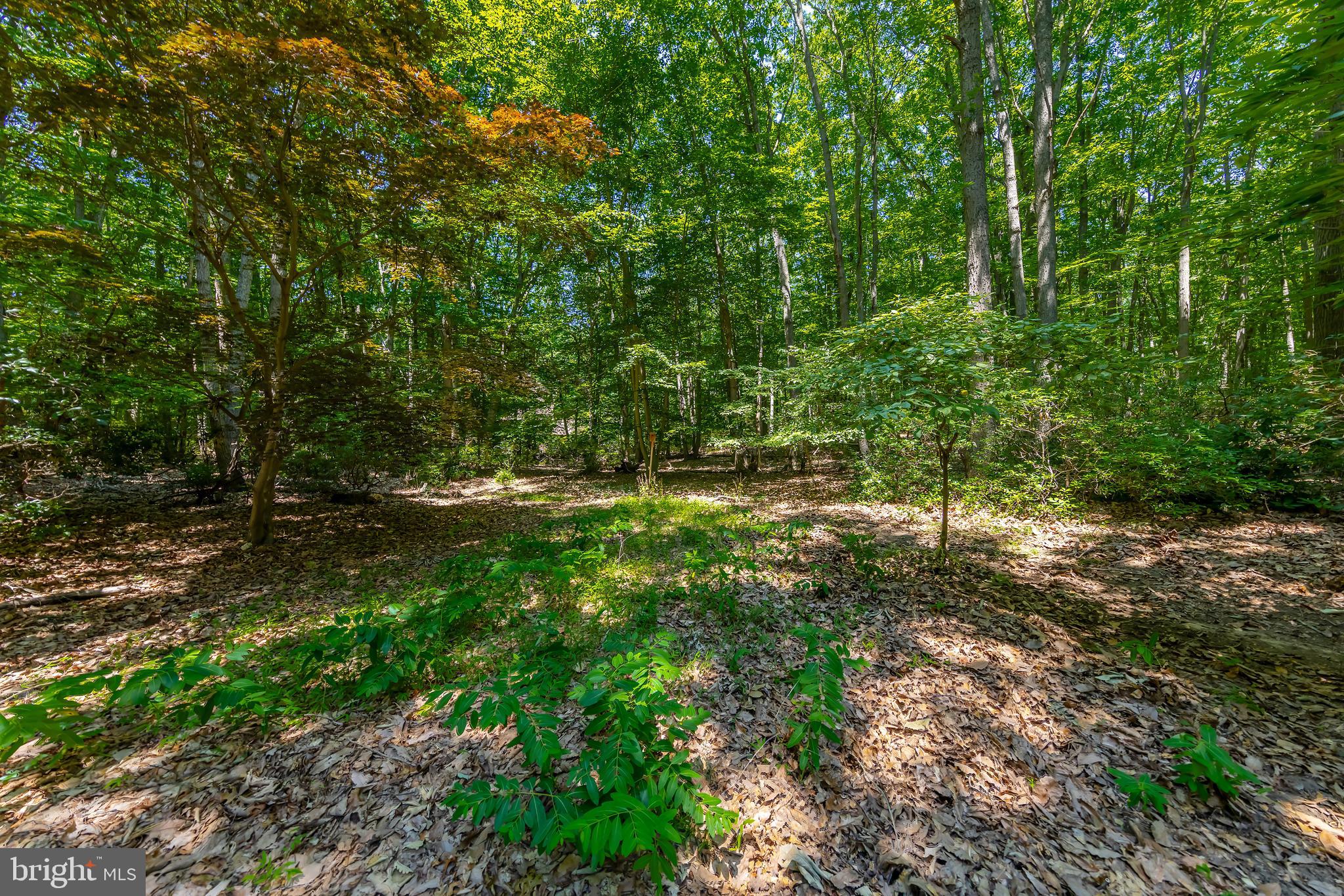 109 Foxford Ln