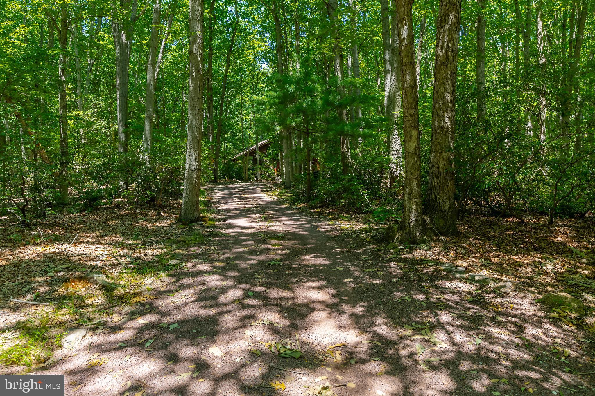 109 Foxford Ln