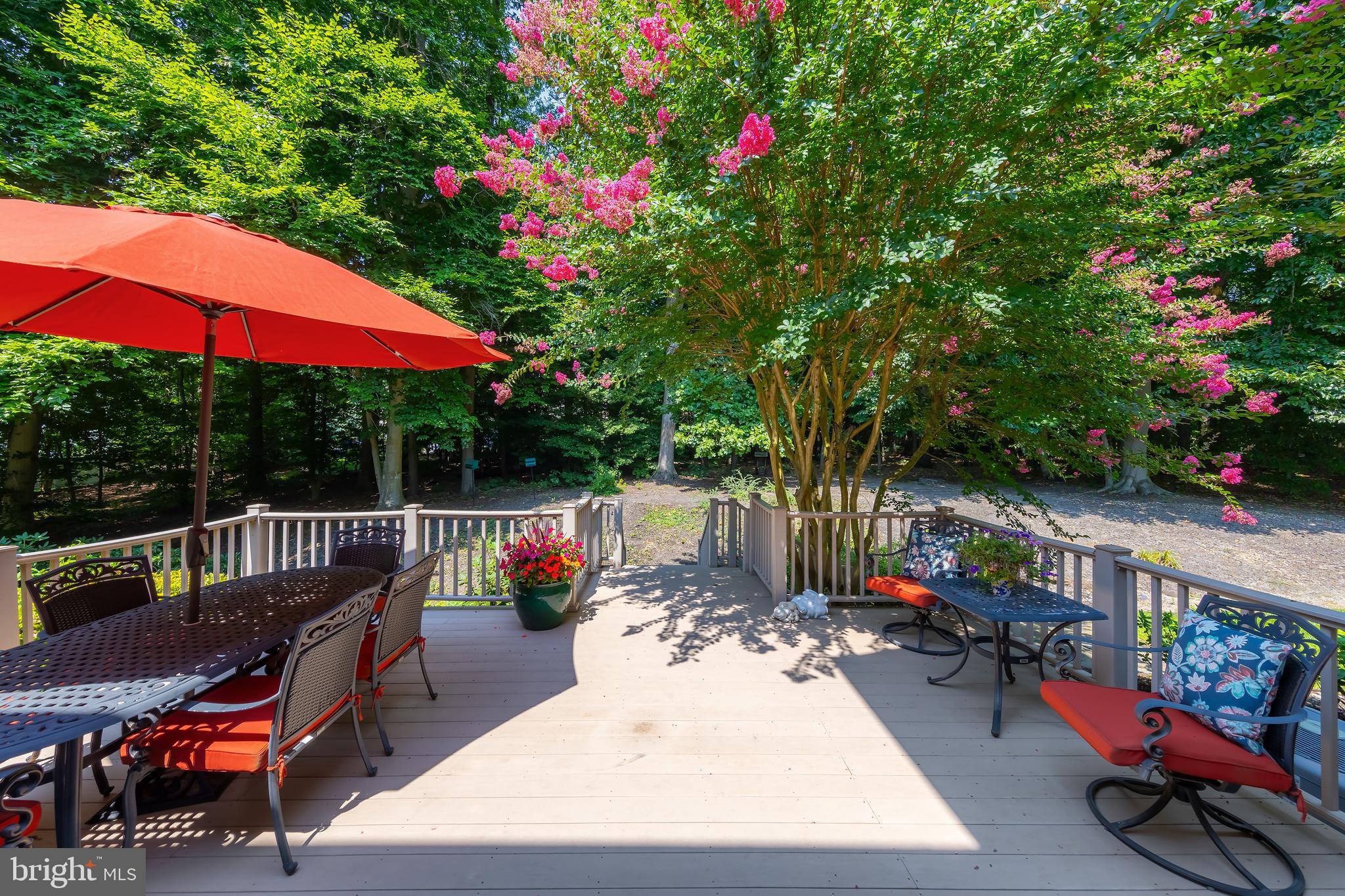 306 Fox Run Ct