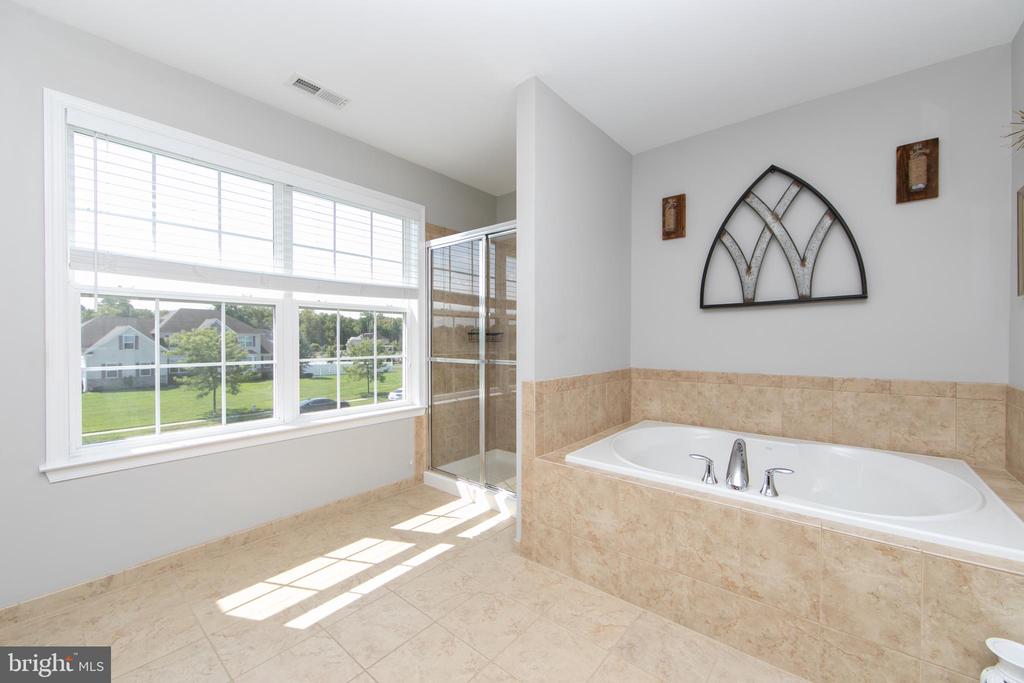 4 Palomino Cir