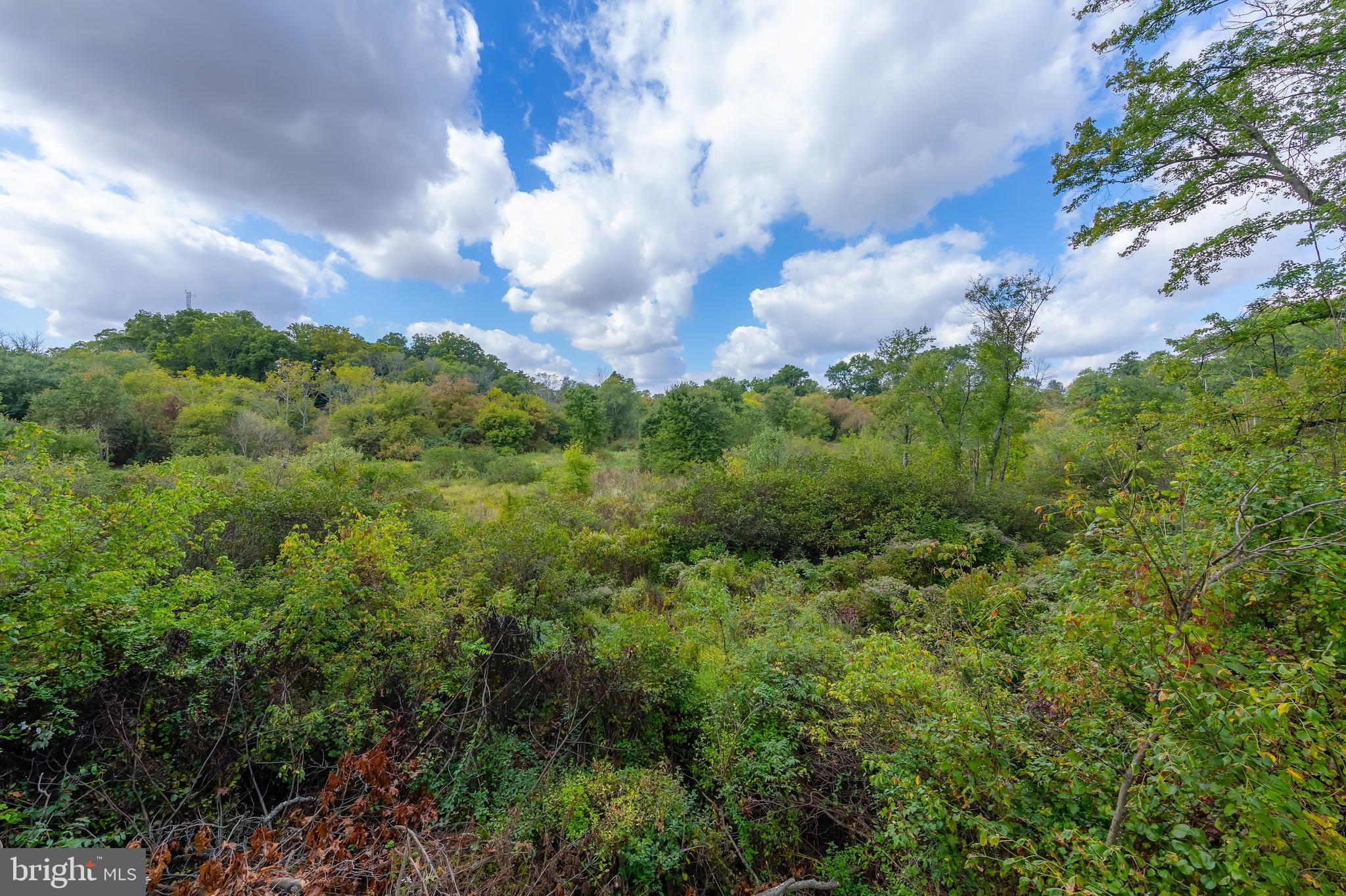 236 Porches Mill Rd