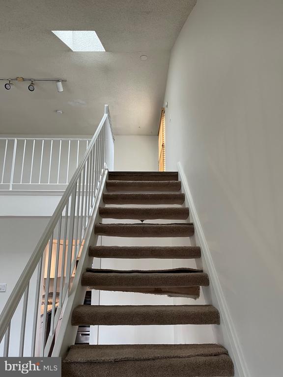 532 SHETLAND COURT