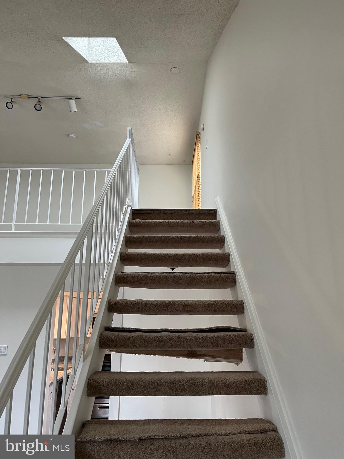 532 SHETLAND COURT